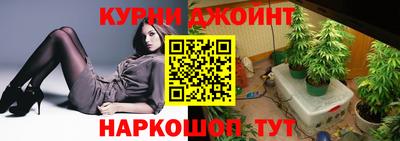 шишки Балашиха